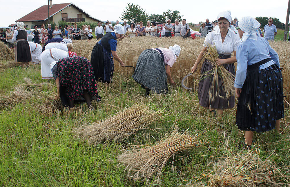 HSS-ETNO_FLETNO_ZETVA_07_05_07_2018