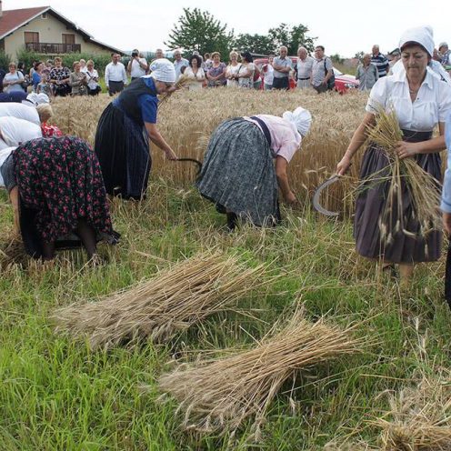 HSS-ETNO_FLETNO_ZETVA_07_05_07_2018